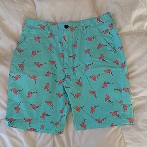 Plugg Aqua Flamingo Shorts